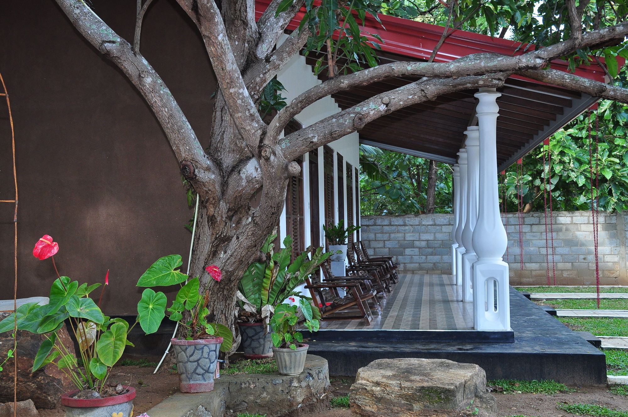 Winmi Resort Habarana Luaran gambar