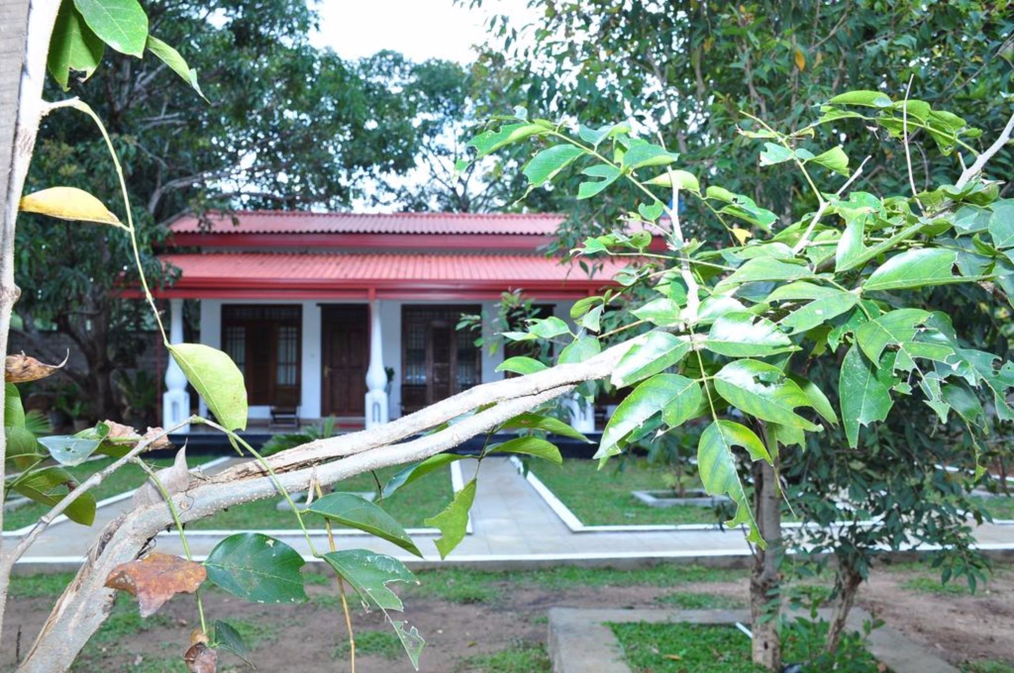 Winmi Resort Habarana Luaran gambar